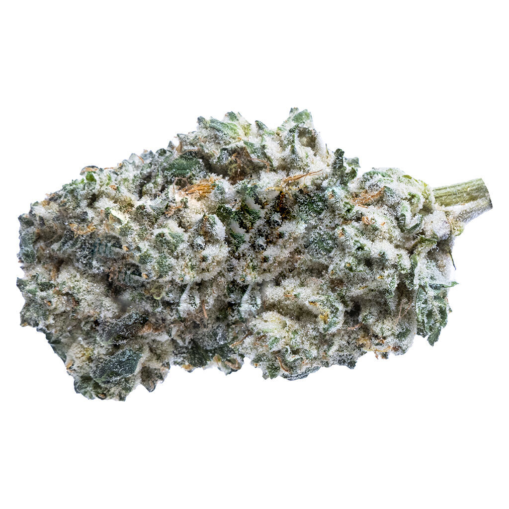 The Original Fraser Valley Weed Co. - Kush Breath (Durban Poison x GSC x OG Kush) - Indica - 2.6% TERPS!