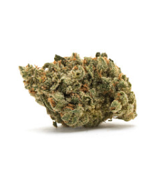 Purple Urkle X Soap Bulk Flower