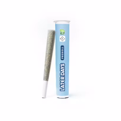 Square Dance Raw Pre Roll
