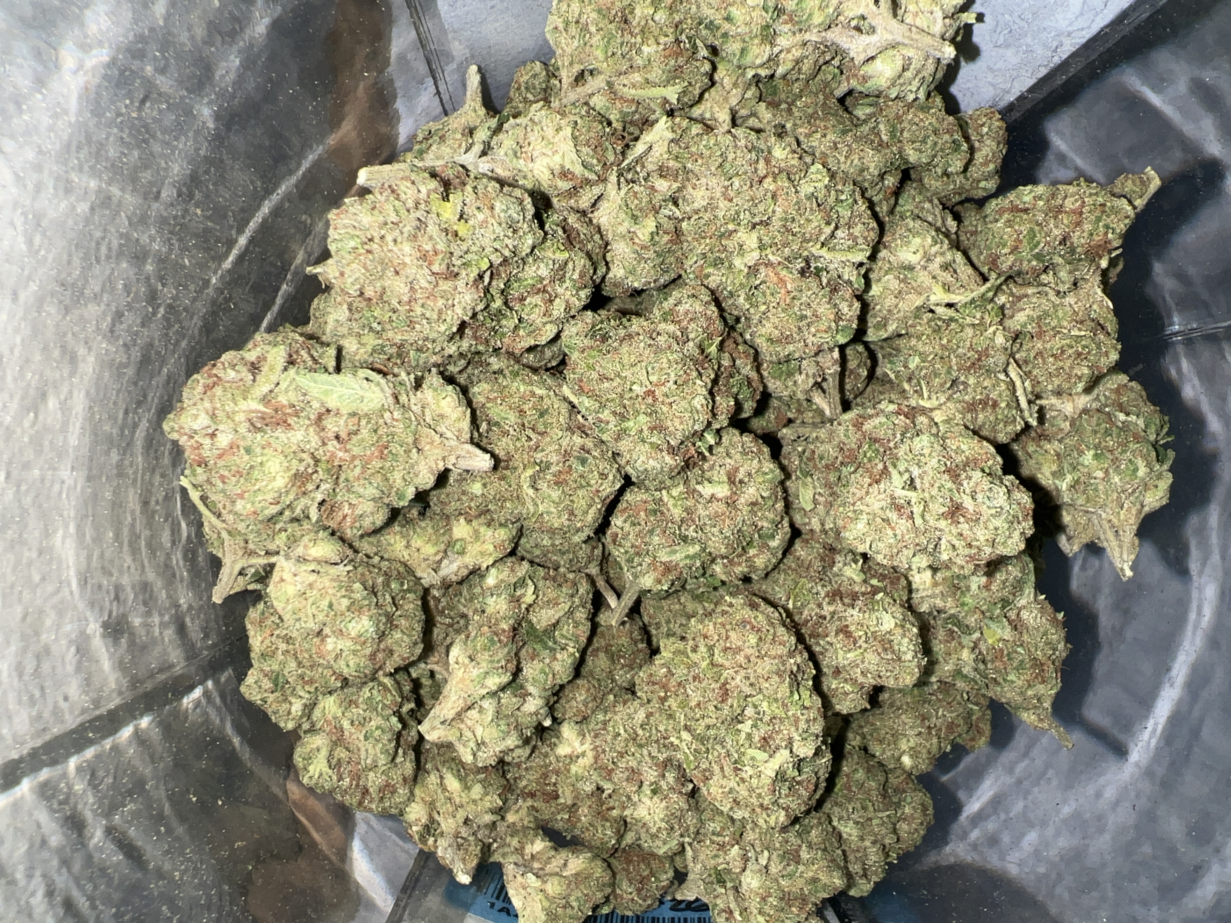 Mother Magnolia - Tahoe Brunch - Tier 3- $120/oz