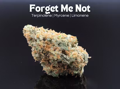 Forget Me Not Raw Pre Roll