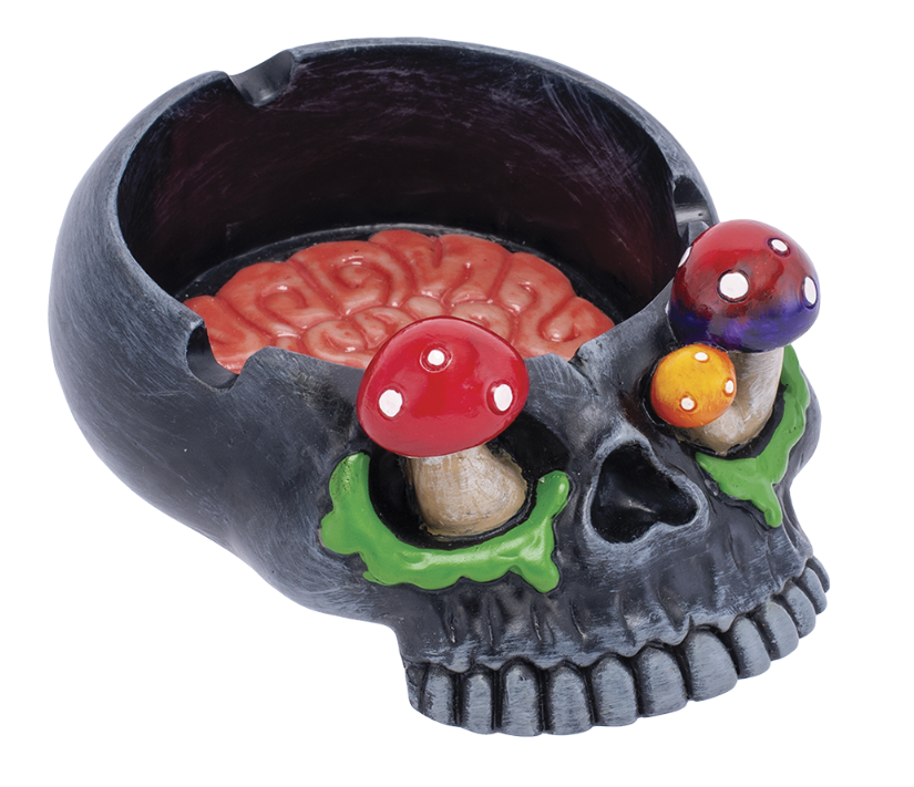 Skull Brain Mushroom Eyes 575 x 42