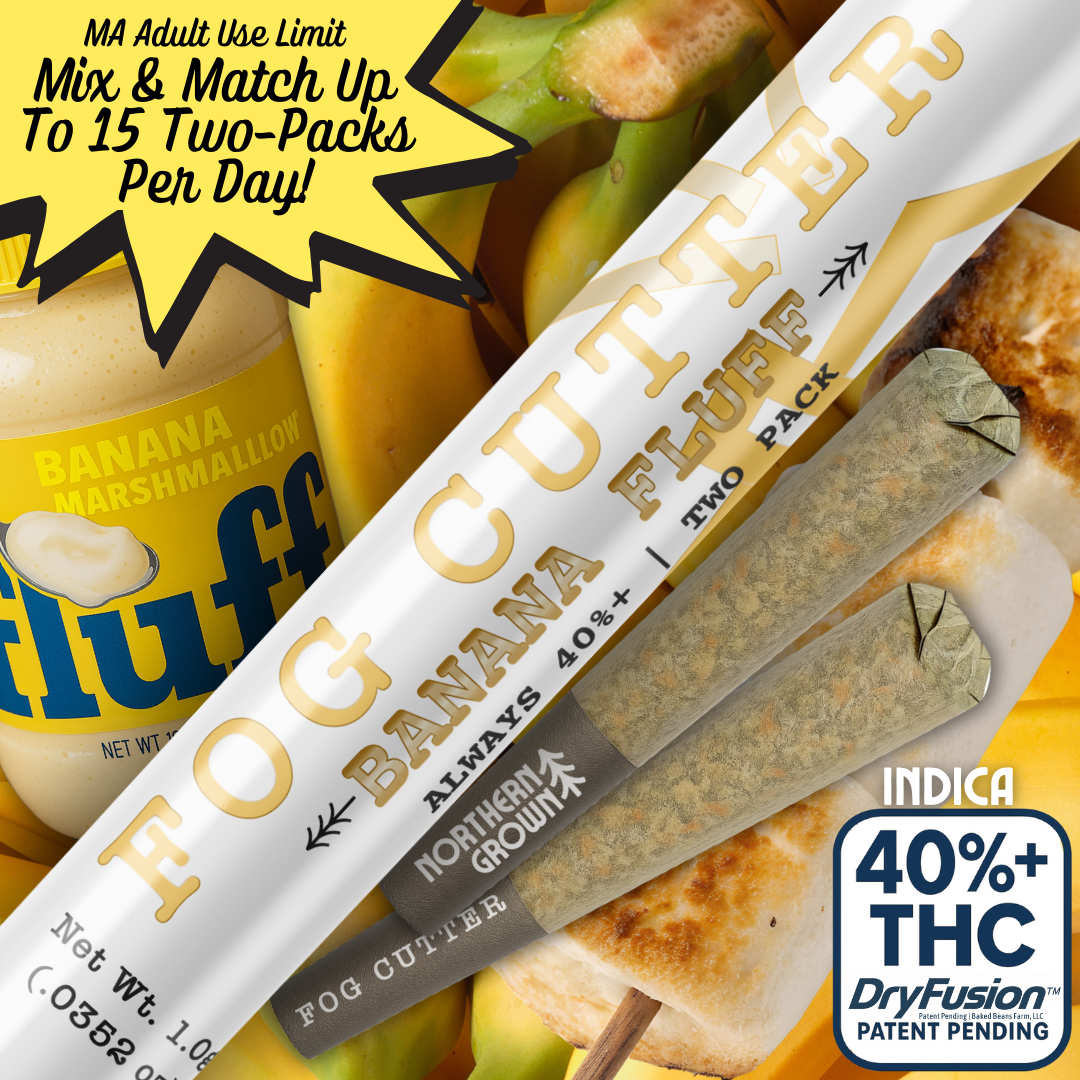 .5G Fog Cutter Infused 2PK Pre-roll - Banana Fluff