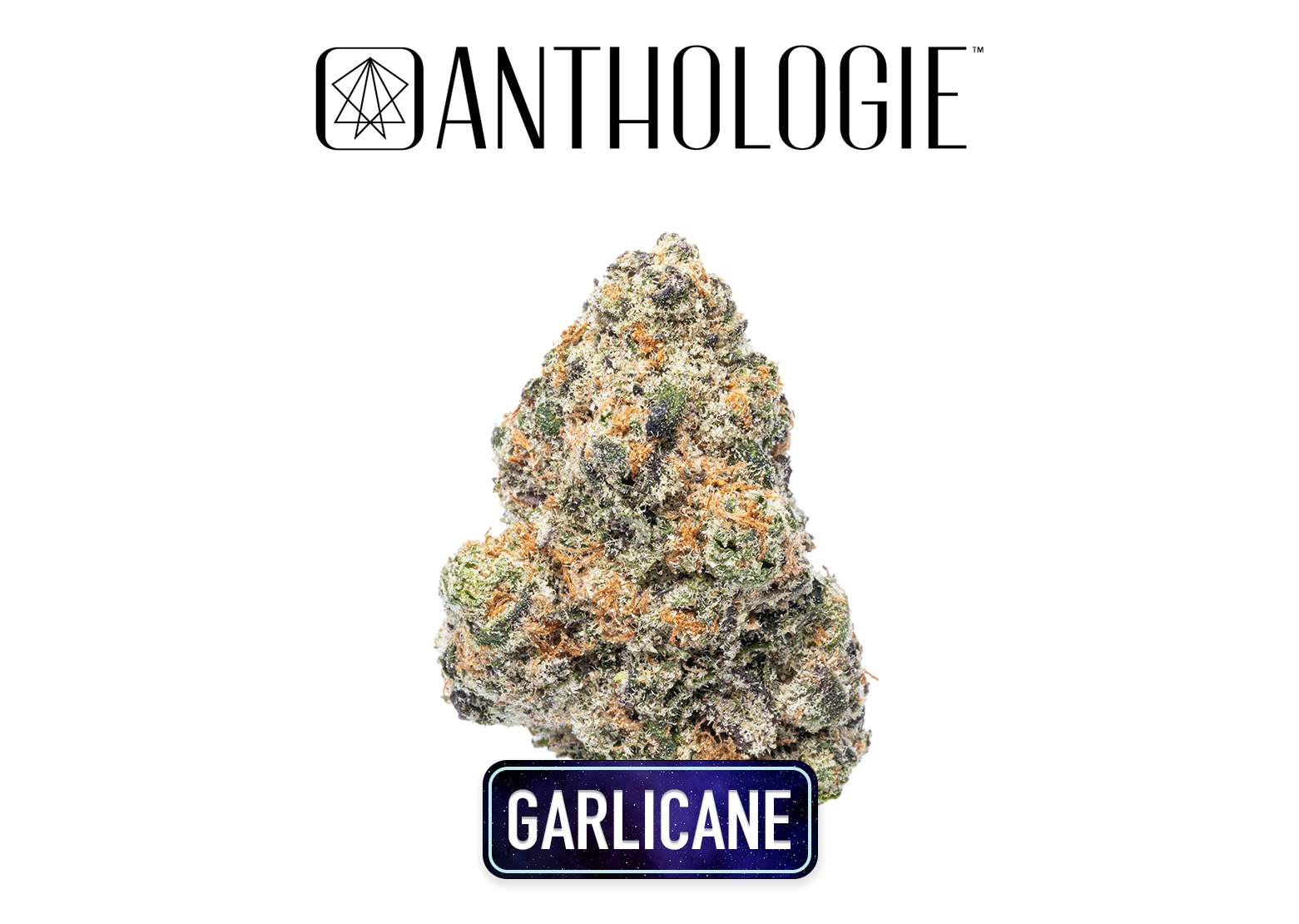 Anthologie Garlicane Flower 3.5g