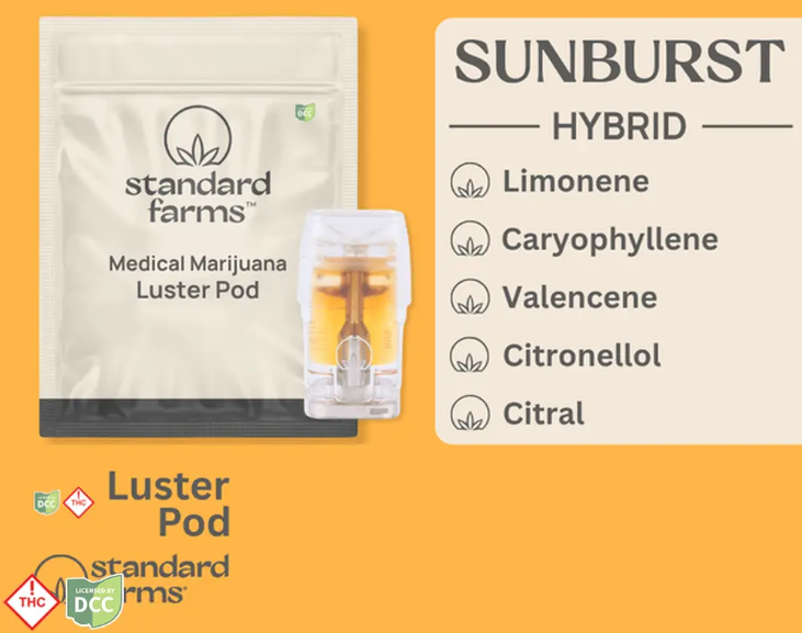 Sunburst Luster Pod | H