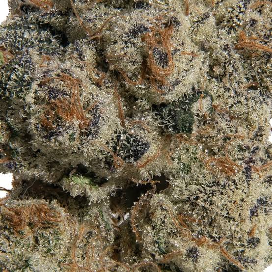 Deli Pre-Roll | Purple Cherry Ripple | Green Castle