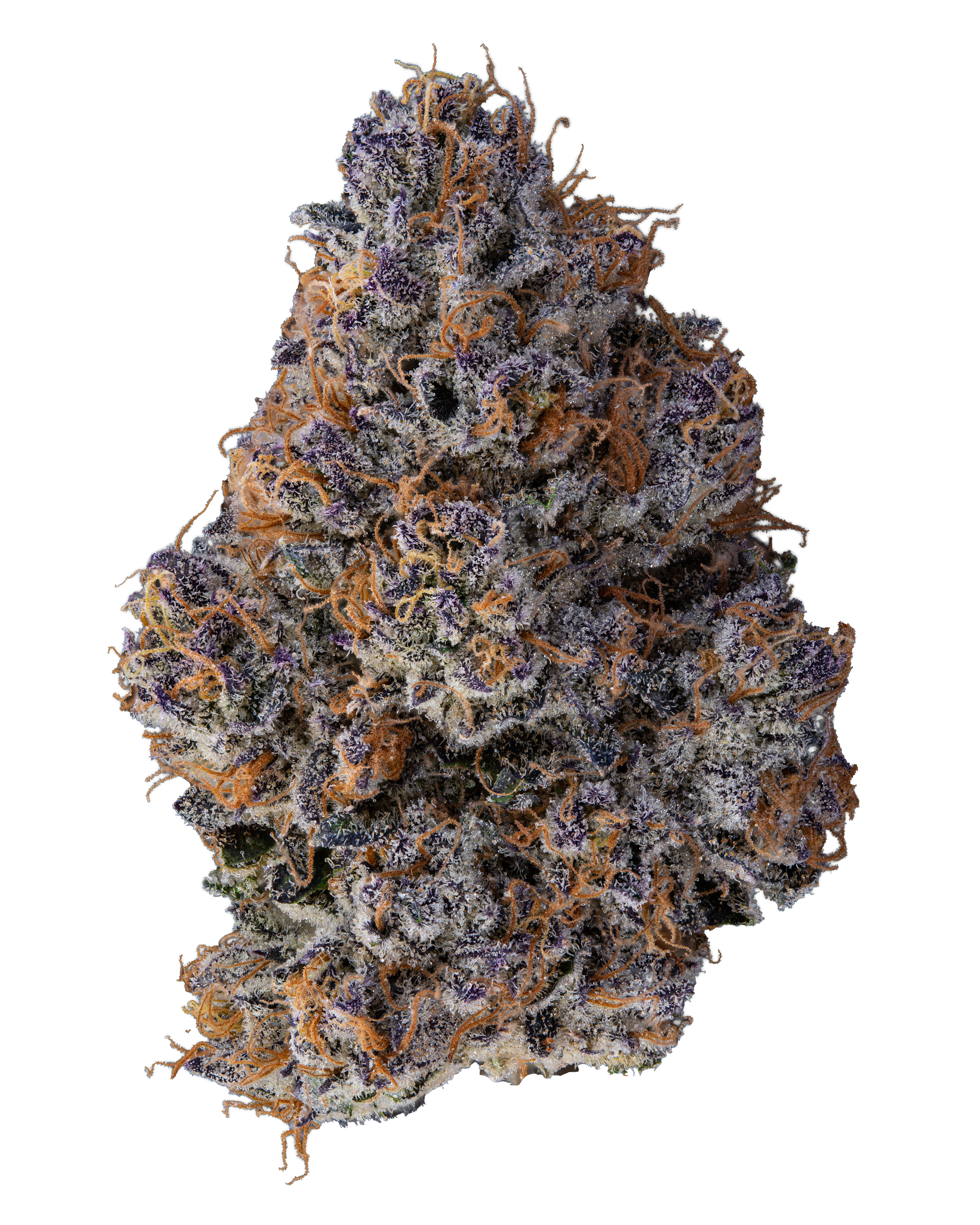 Klutch | Sherbhead | Hybrid Flower | 3.5g