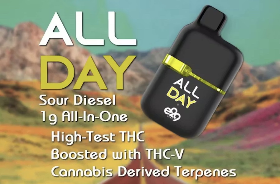 E29 Labs All Day 1g All-in-One Sour Diesel