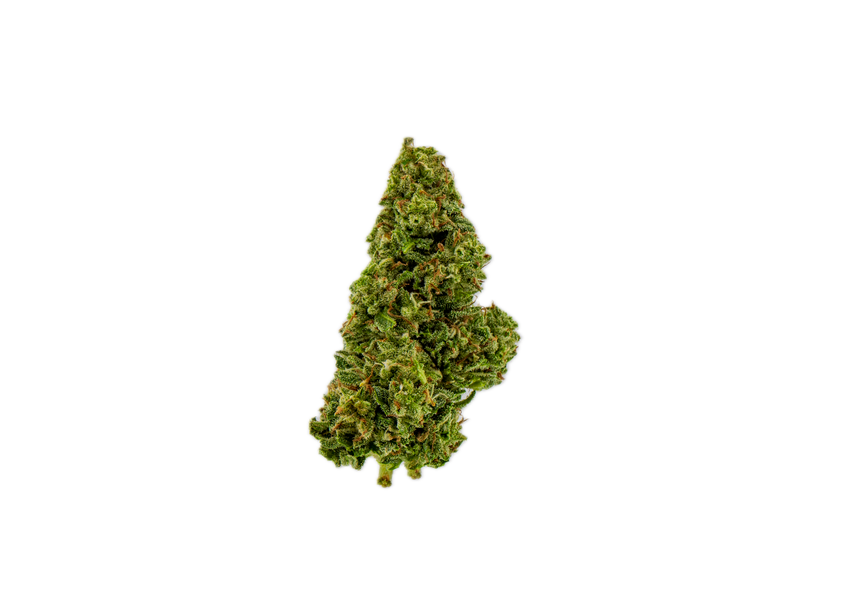 LIVE | Orange Crazy Train 14g Flower | Live