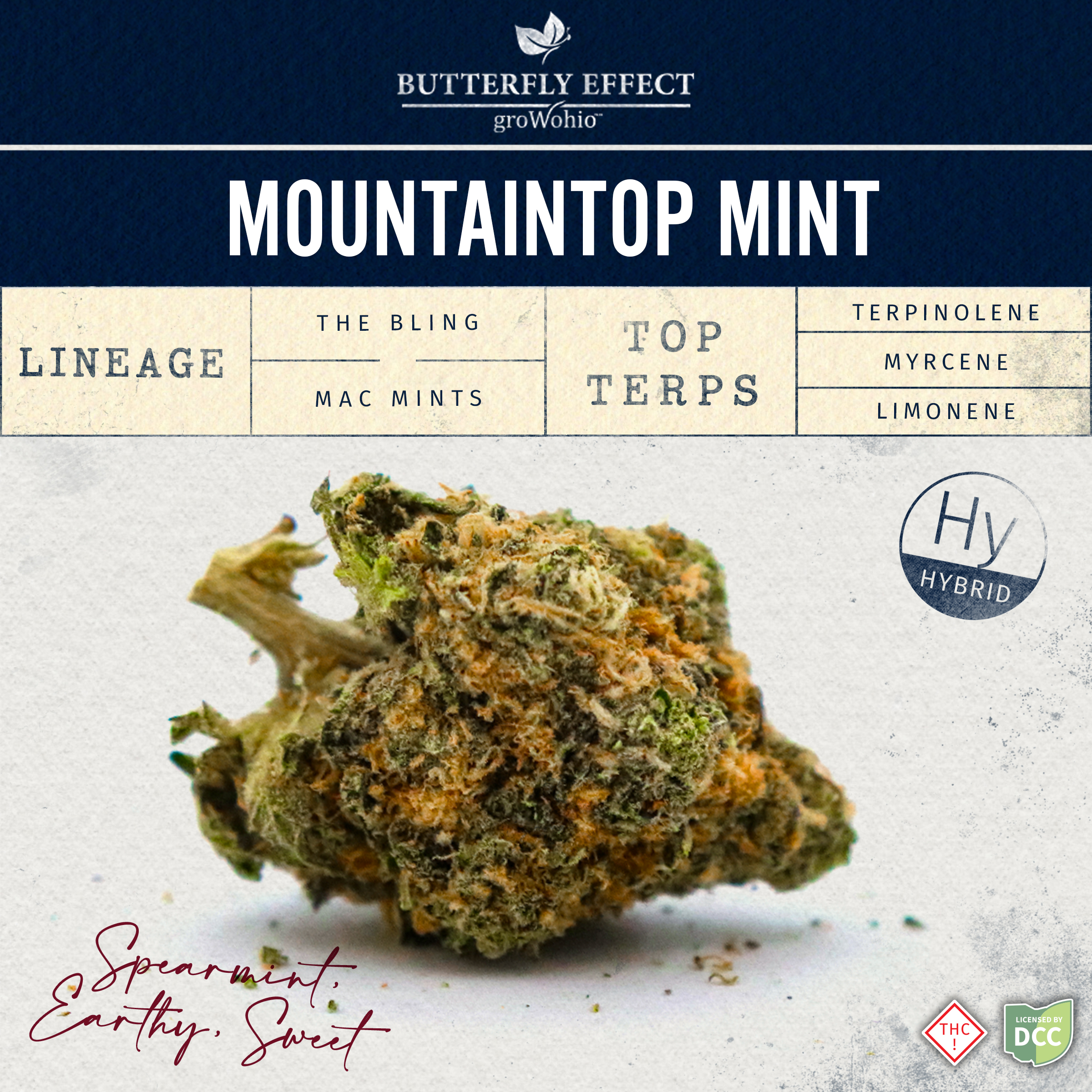 Grow Ohio Mountain Top Mint Buds