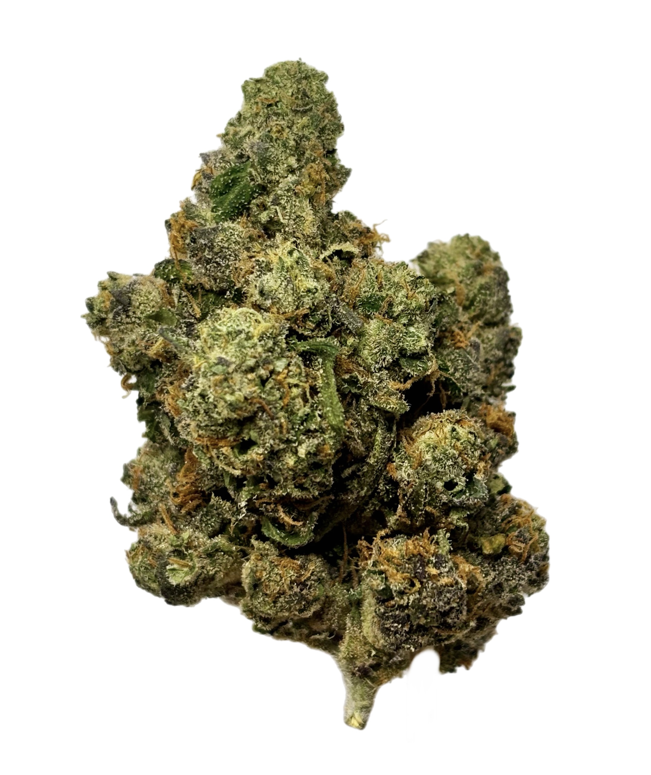 Northwoods | Blue Smoothie | Bulk Flower | Purple Tier