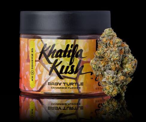 Baby Turtle - 14g - Khalifa Kush - House Packed