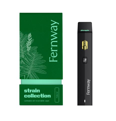 Fernway | All-In-One Traveler Pro Disposable | Pineapple Express | 1g