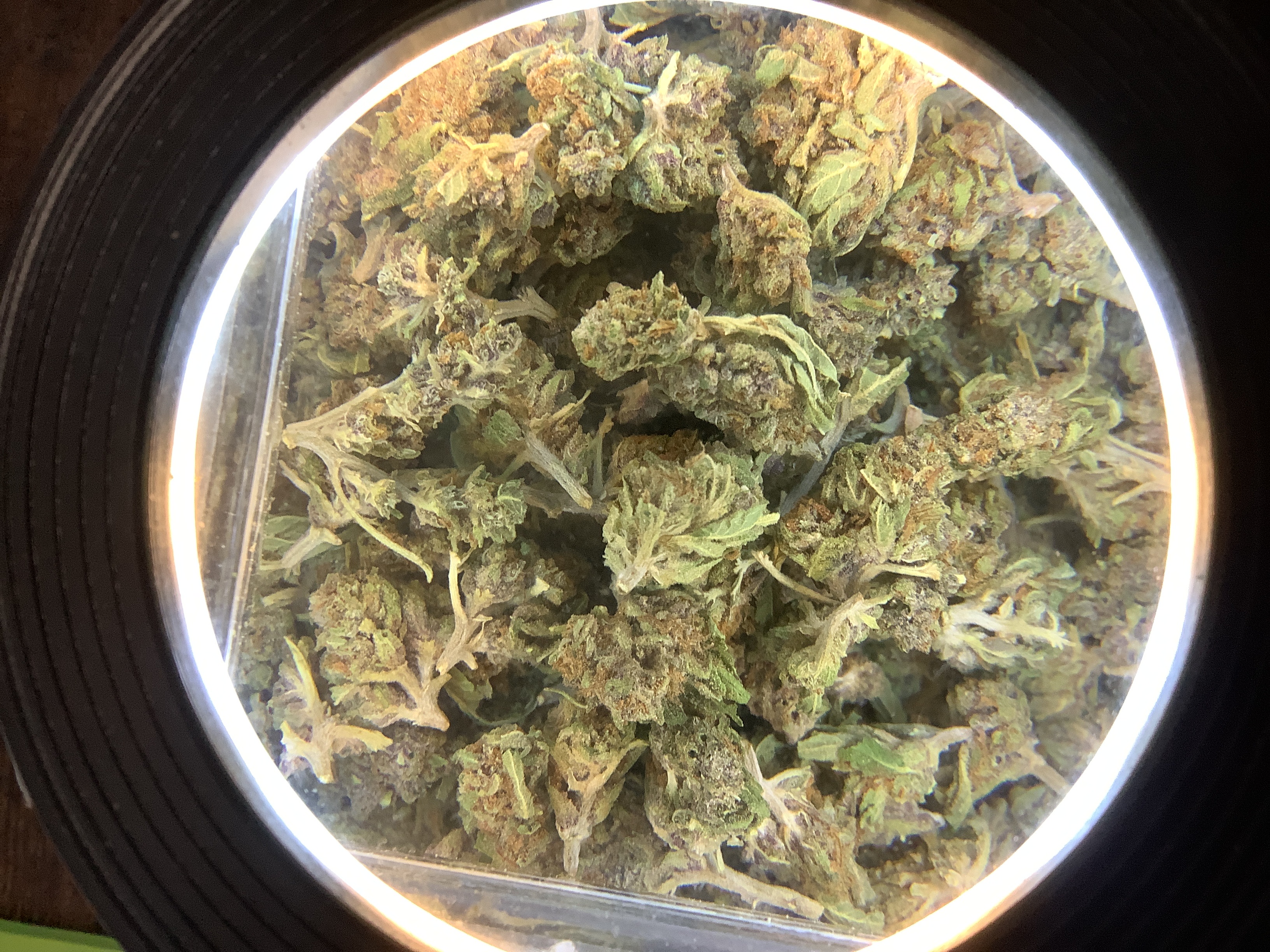 Millerville Farms | JAGER