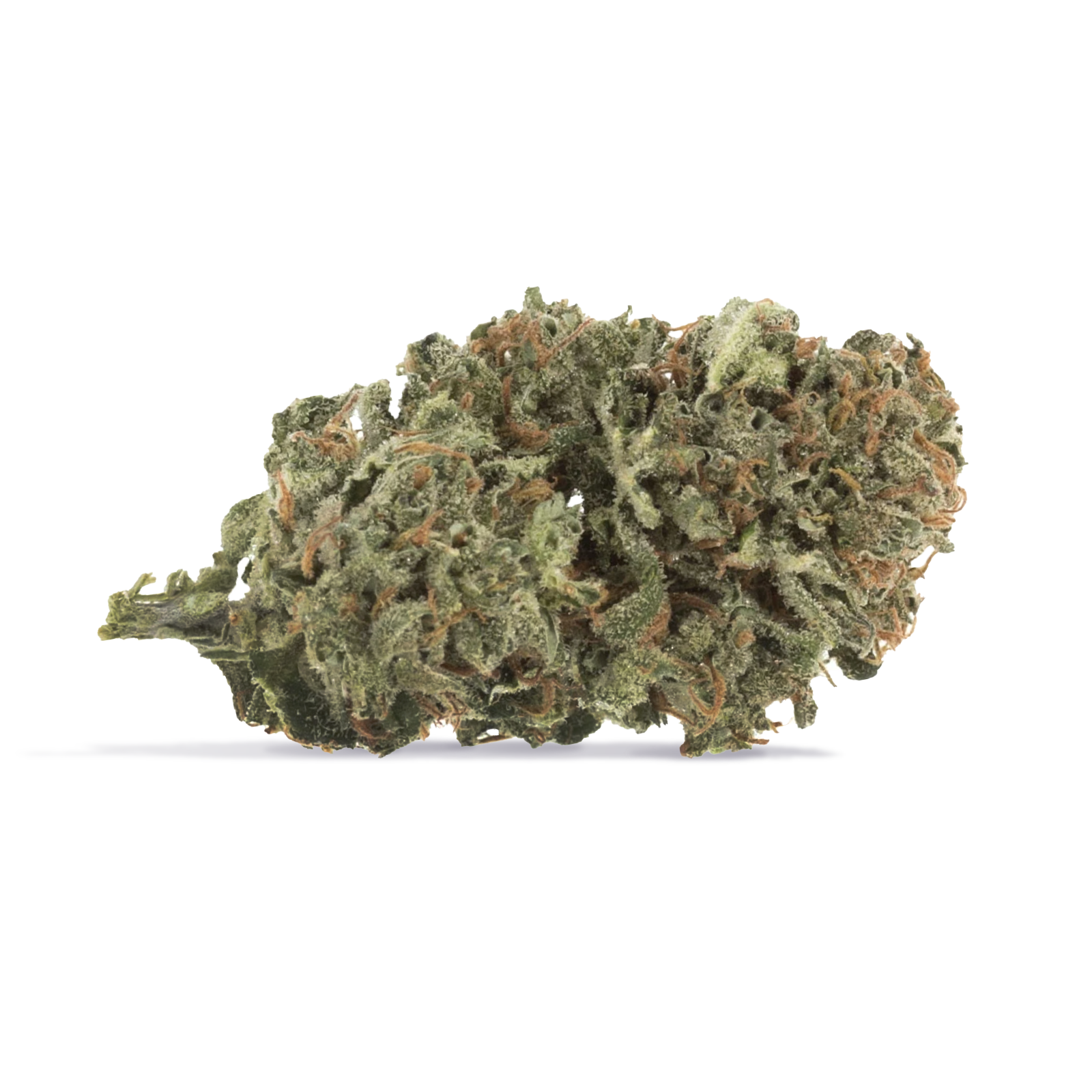 Station House - Blue Dream - Sativa