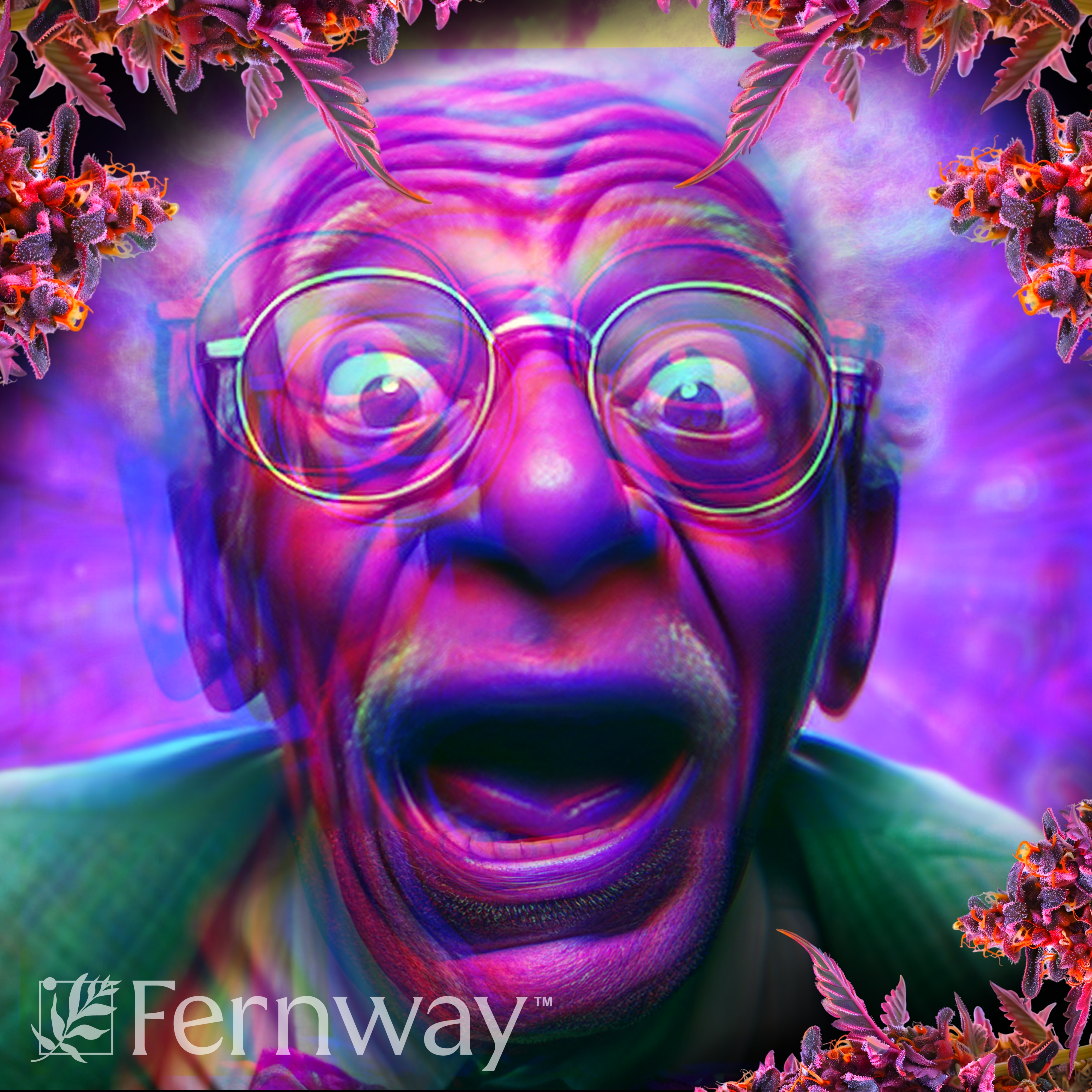 Fernway | Grandaddy Purple Traveler