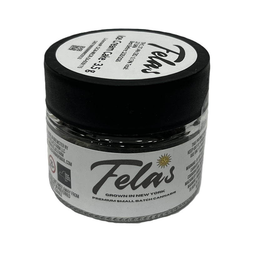 Ice Cream Cake Indoor Flower