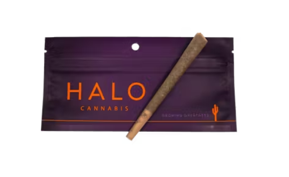 Preroll: 1G - Wingsuit