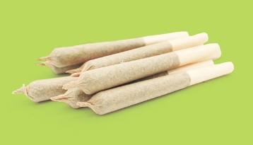 Truffle Monkey | 0.5g Pre-Roll 2pk | 1g