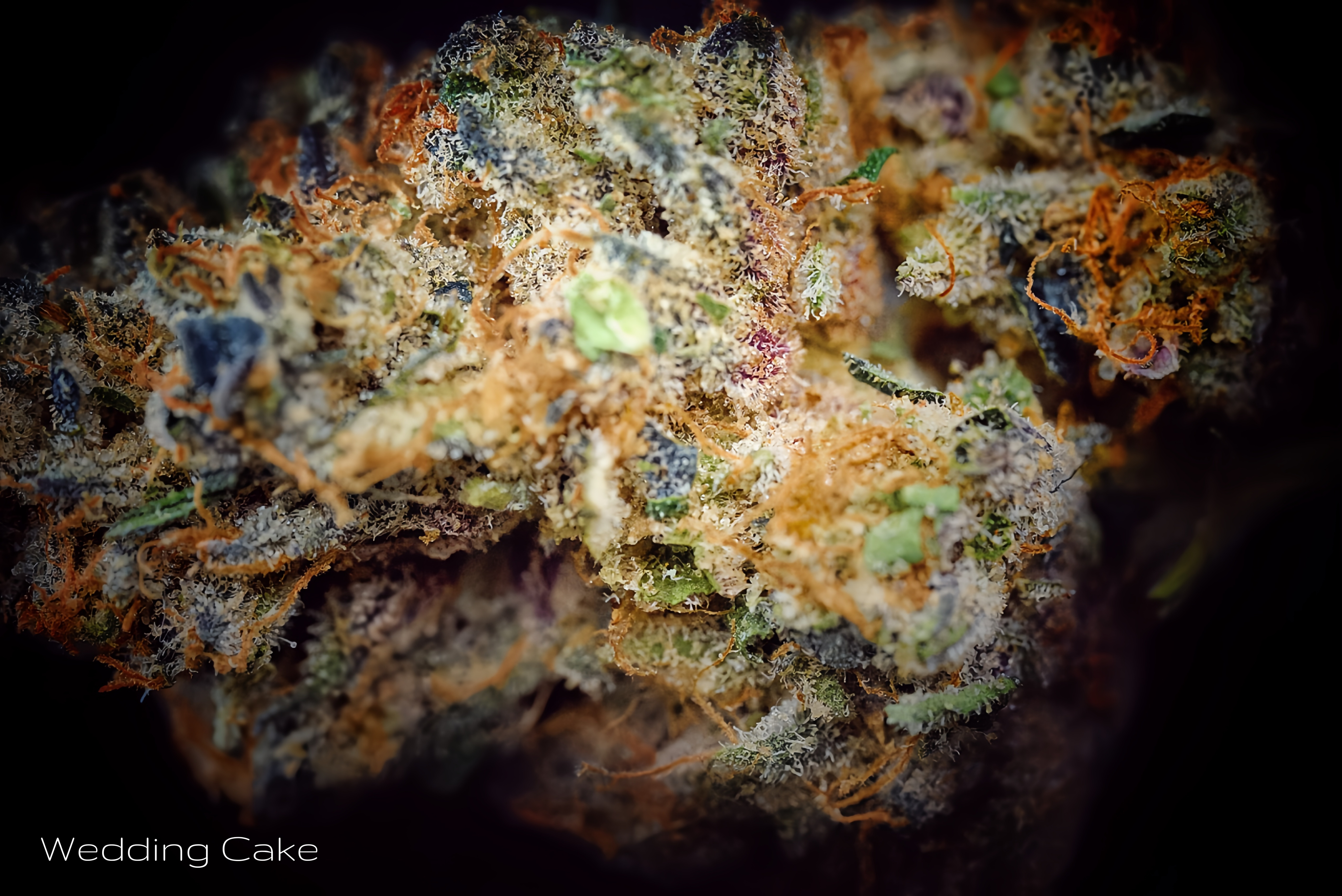 Wedding Cake | Outdoor