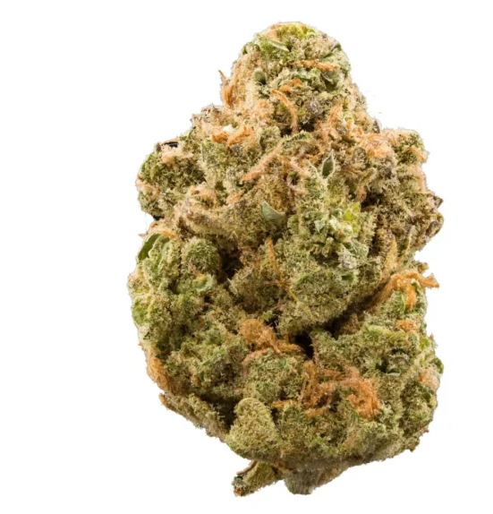 Sherbert (I) Disposable 1G