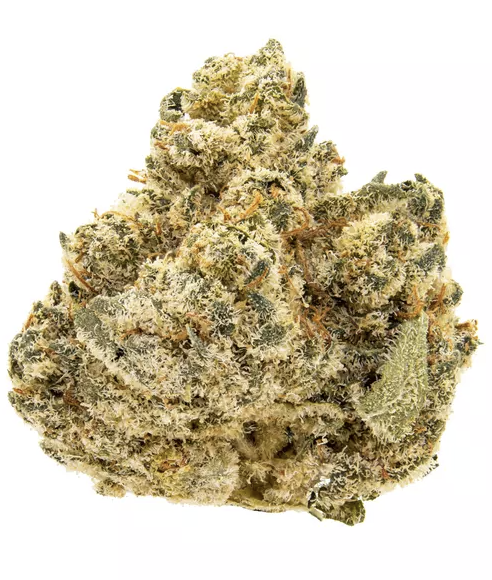 PK Crasher | Premium Flower | 3.