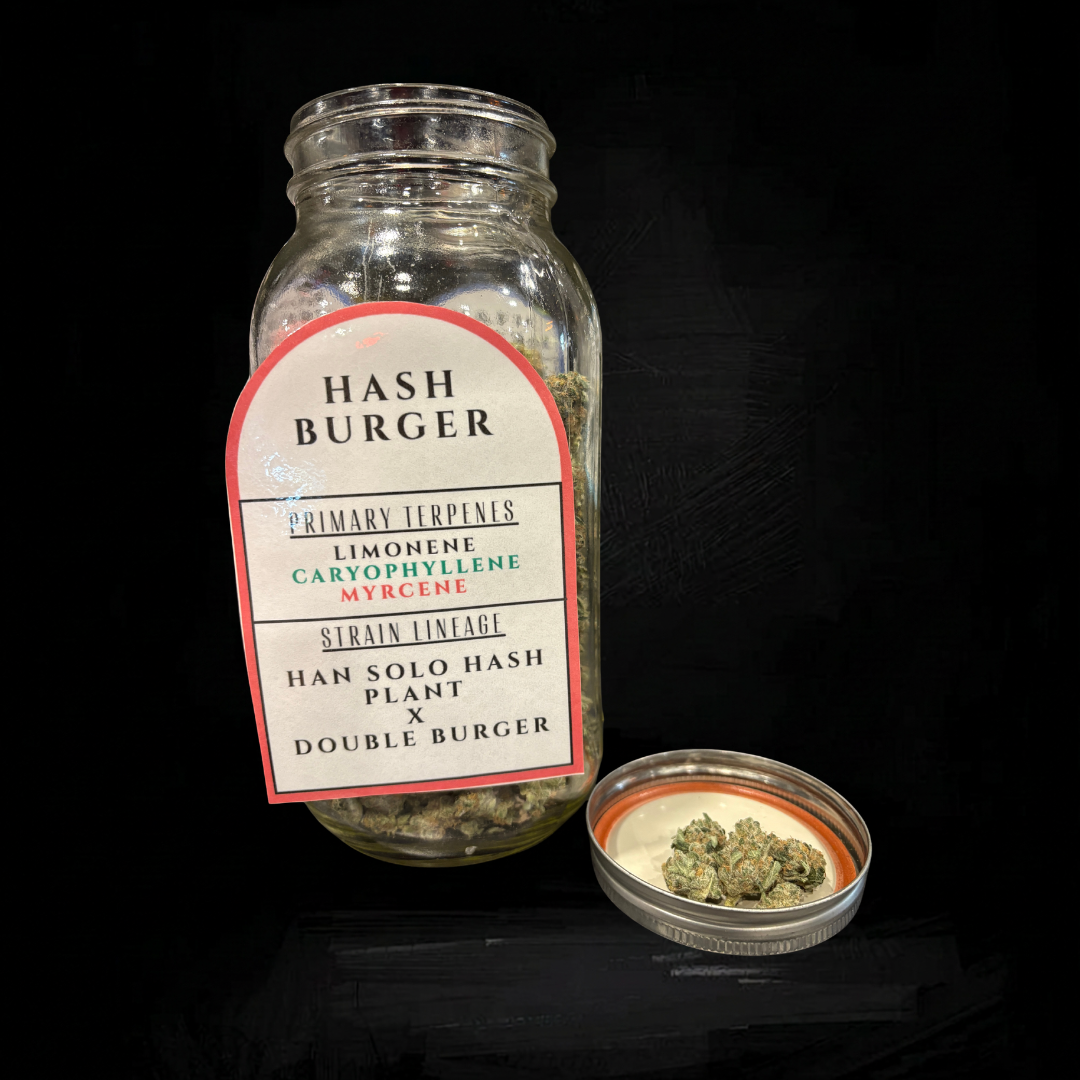 Hash Burger | Goldkine | Bulk Flower