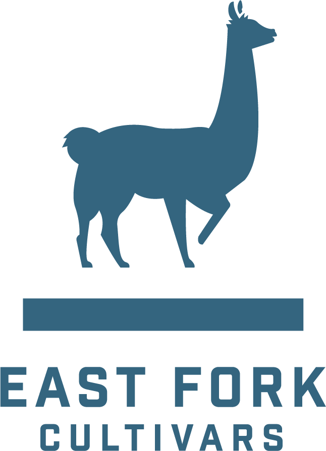 East Fork Cultivars | White CBG