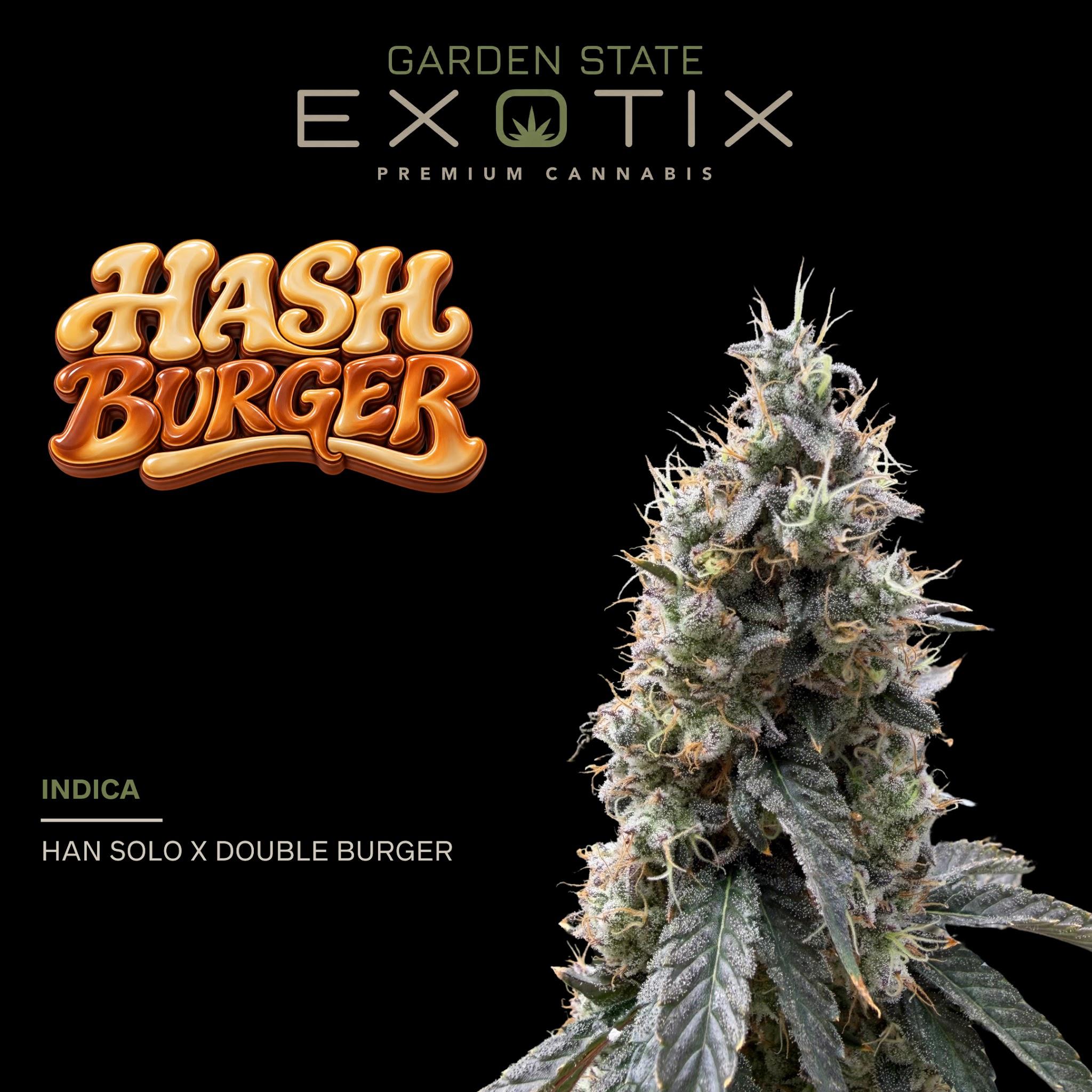 Hashburger 2.0 | Garden State Exotix | Flower