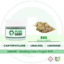 Pure Ohio: E85 2.83g