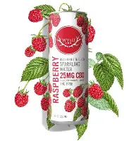 (53311) WYLD 50mg CBD Raspberry Sparkling Water