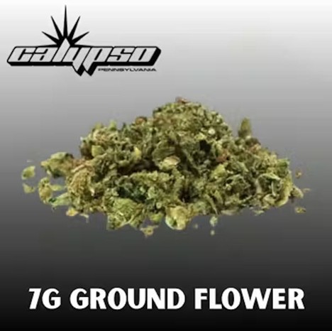 Skunk Mntz Ground Flower: 7g