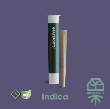 Garlic Cookies 1g Preroll Indica