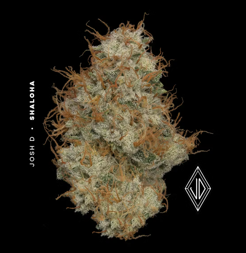 JOSH.D  | Shaloha | 1g Pre Roll