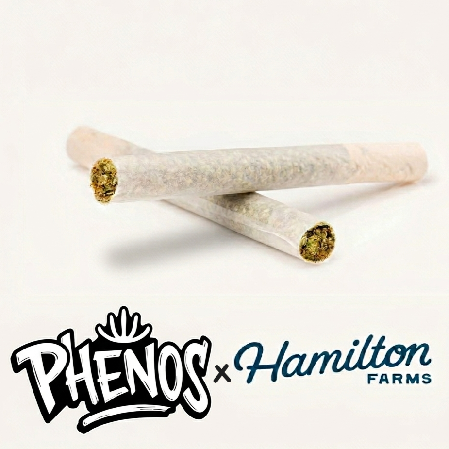 Panama Red Y2k #8 2pk