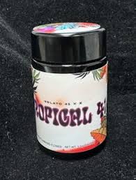 Tropical 41