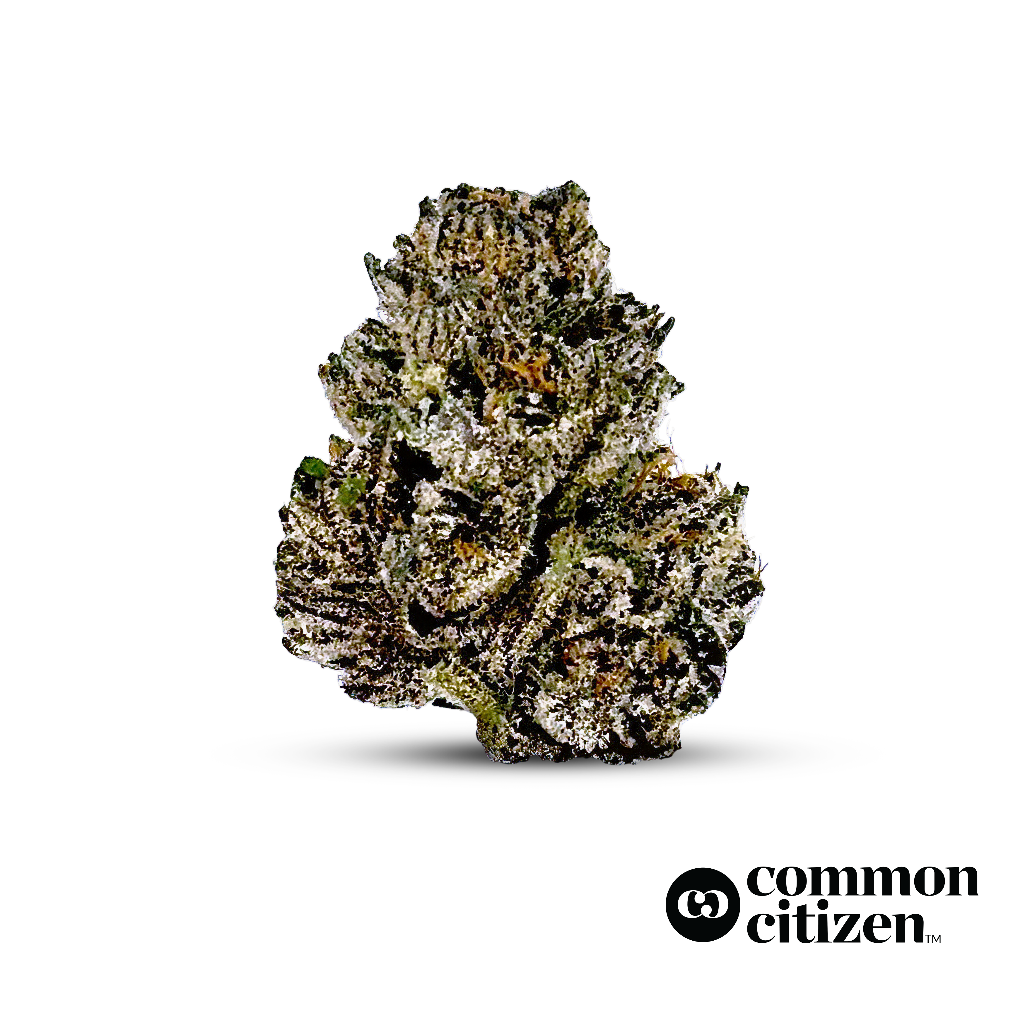 Daily Dose Flower: 3.5g