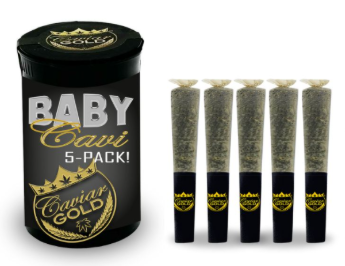 CG: Baby Cavi Cloud Chaser (5 x .5g)