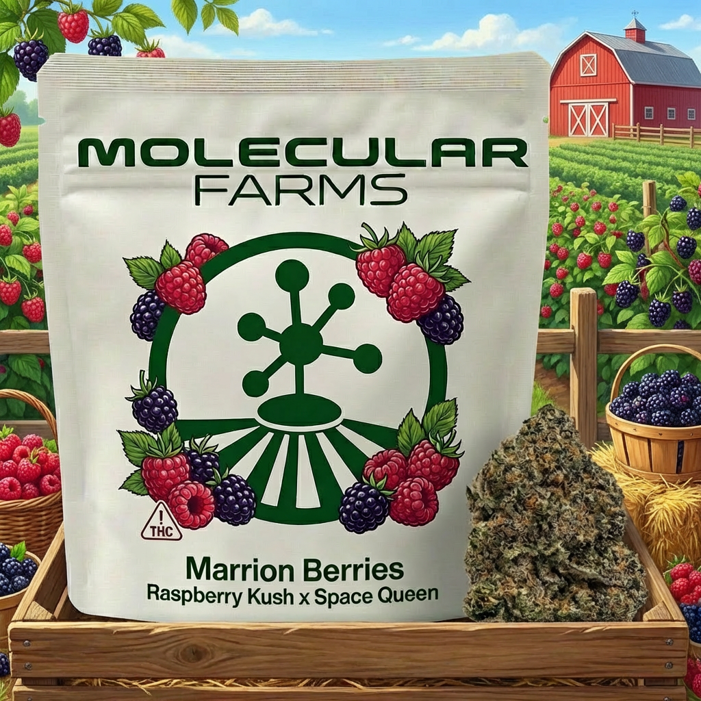 Marrion Berries