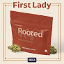PRE-PACK FLOWER FIRST LADY (H) 14G