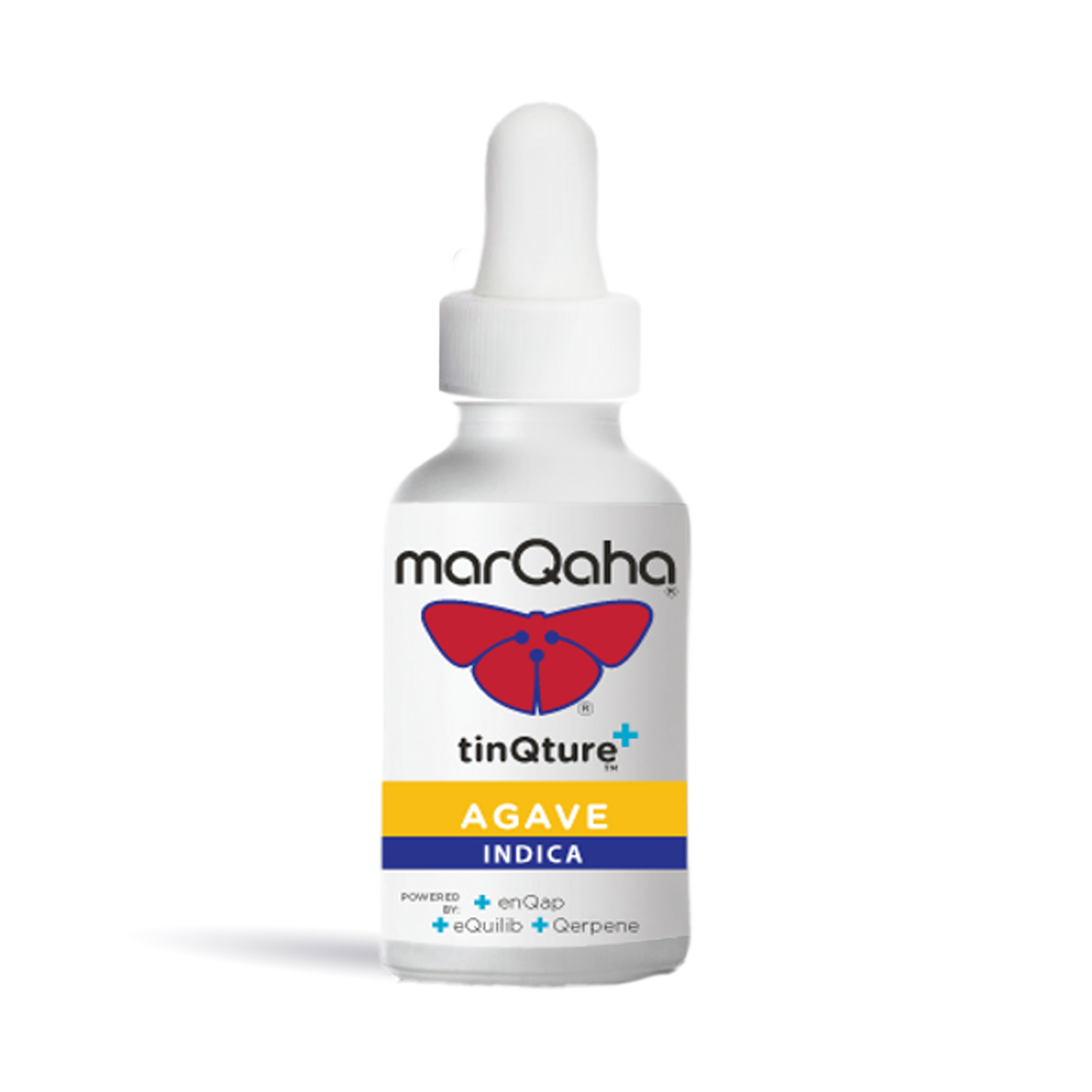 Agave Indica Tinqture
