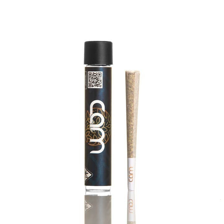 Jack Herer Pre-Roll