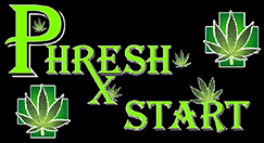 PHRESH START | CURED RESIN | PROJECT ZAP