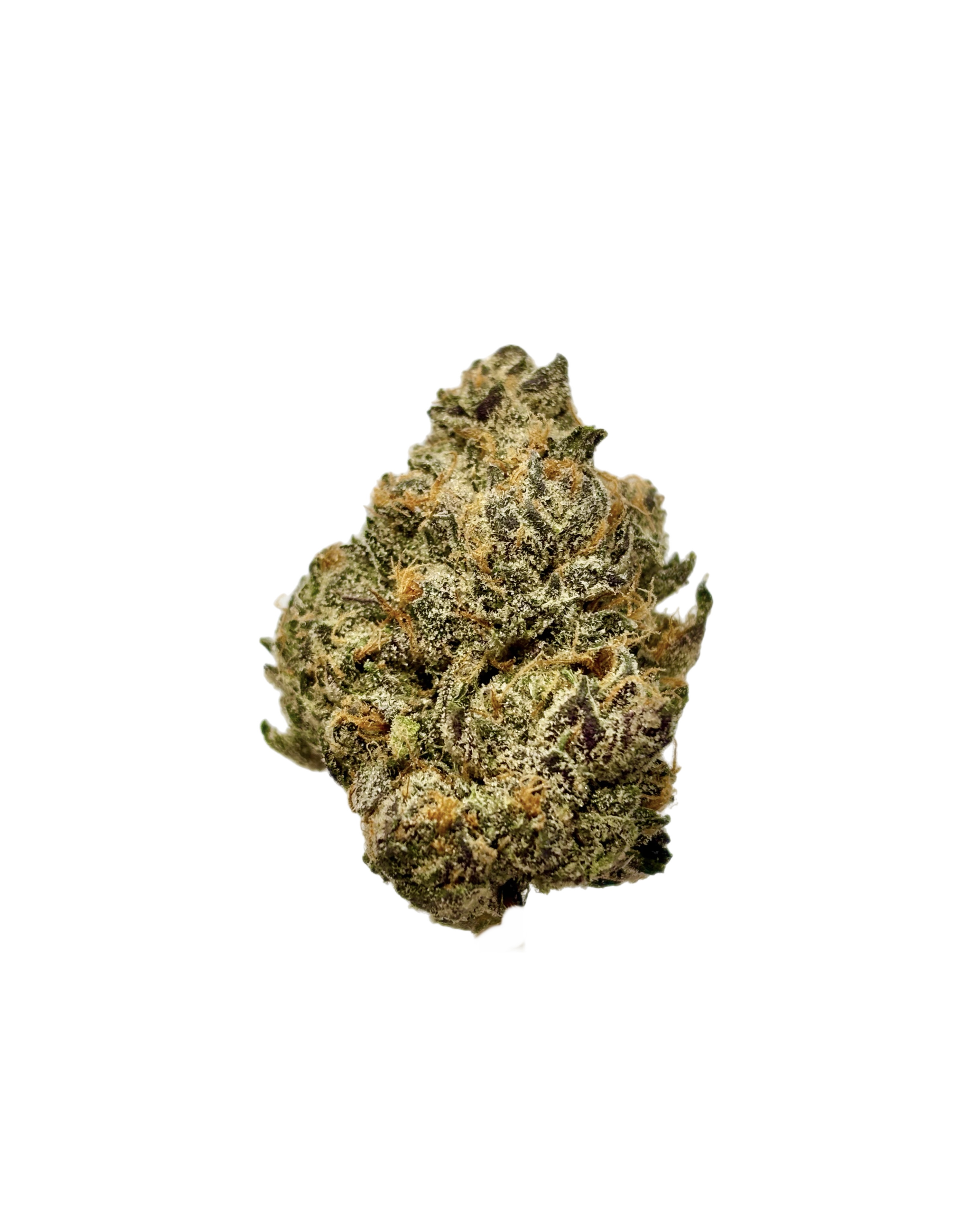 EXOTIC MATTER | POTATO RUNTZ | BULK FLOWER