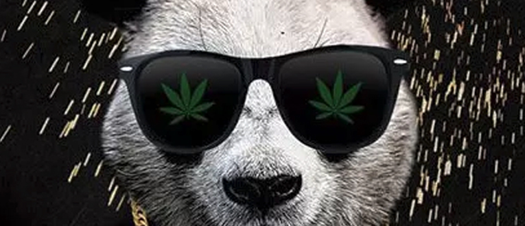 Phat Panda - Strawberry Fritter Preroll 1g