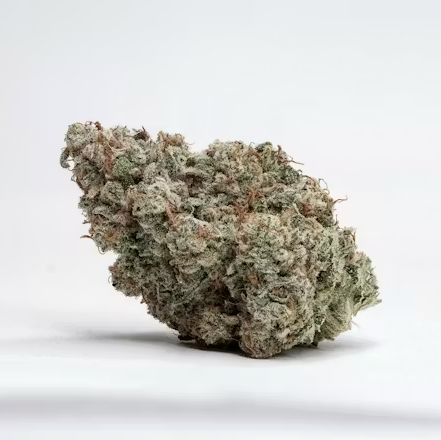 Stuffed Grape Gelato - Bulk Flower- Platinum