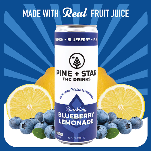 Blueberry Lemonade Sparkling Soda | Beverage