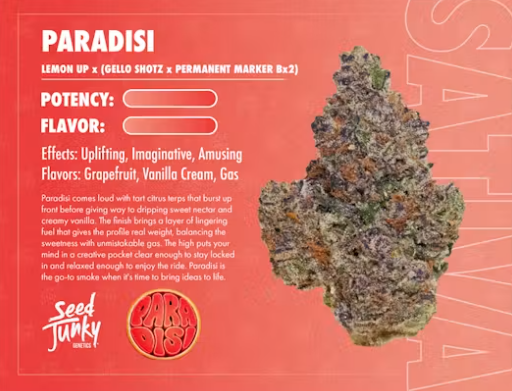 Paradisi