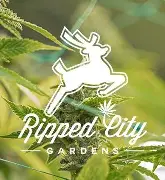 Ripped City Gardens: Prickly Situation