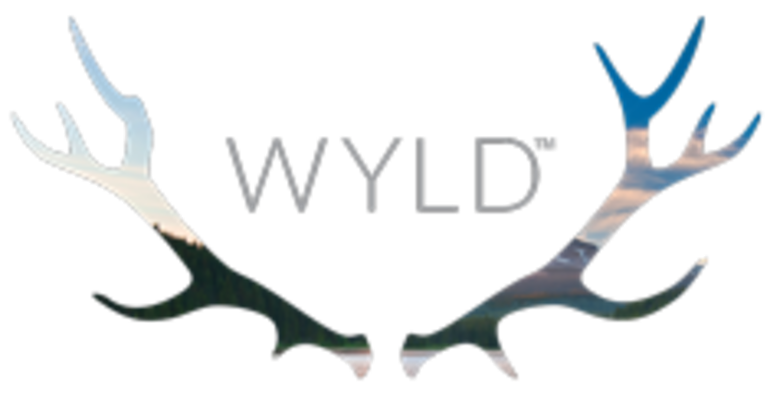 Wyld | Passion Orange Guava | Wyld Ones Gummy THC + CBG